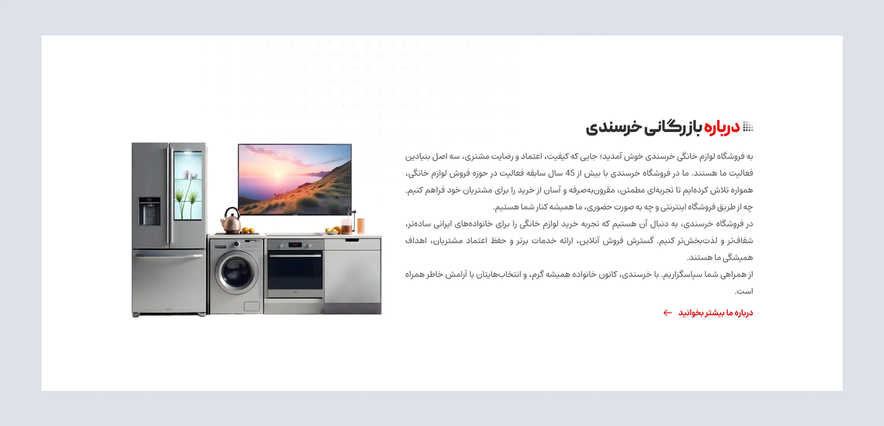 طراحی سایت لوازم خانگی خرسندی